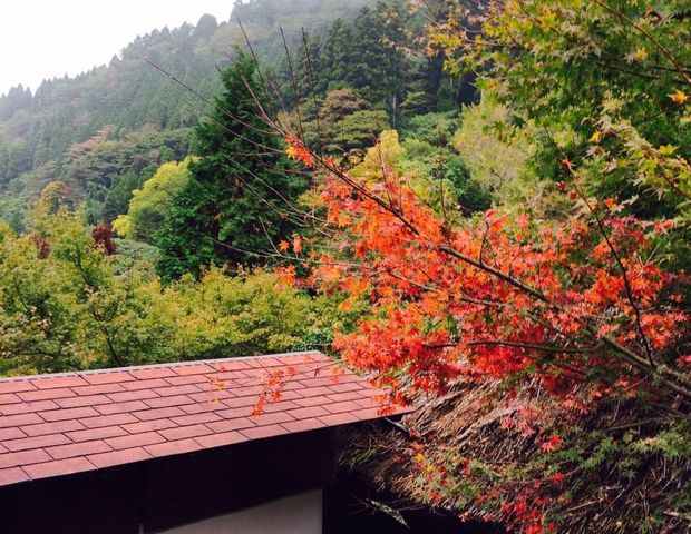 垂玉温泉 瀧日和（旧 山口旅館）